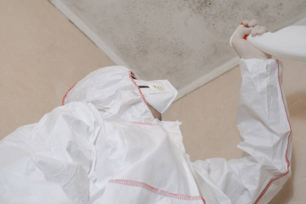 Best Commercial Mold Removal  in Portsmouth, OH