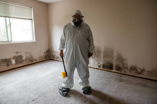 Best Crawl Space Mold Removal  in Portsmouth, OH